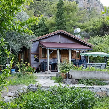 Holiday House Dilek Cirali Kemer Antalya